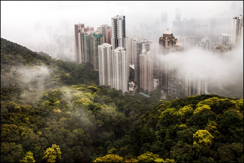 hong-kong-2015-13