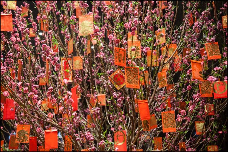 hong-kong-2015-14